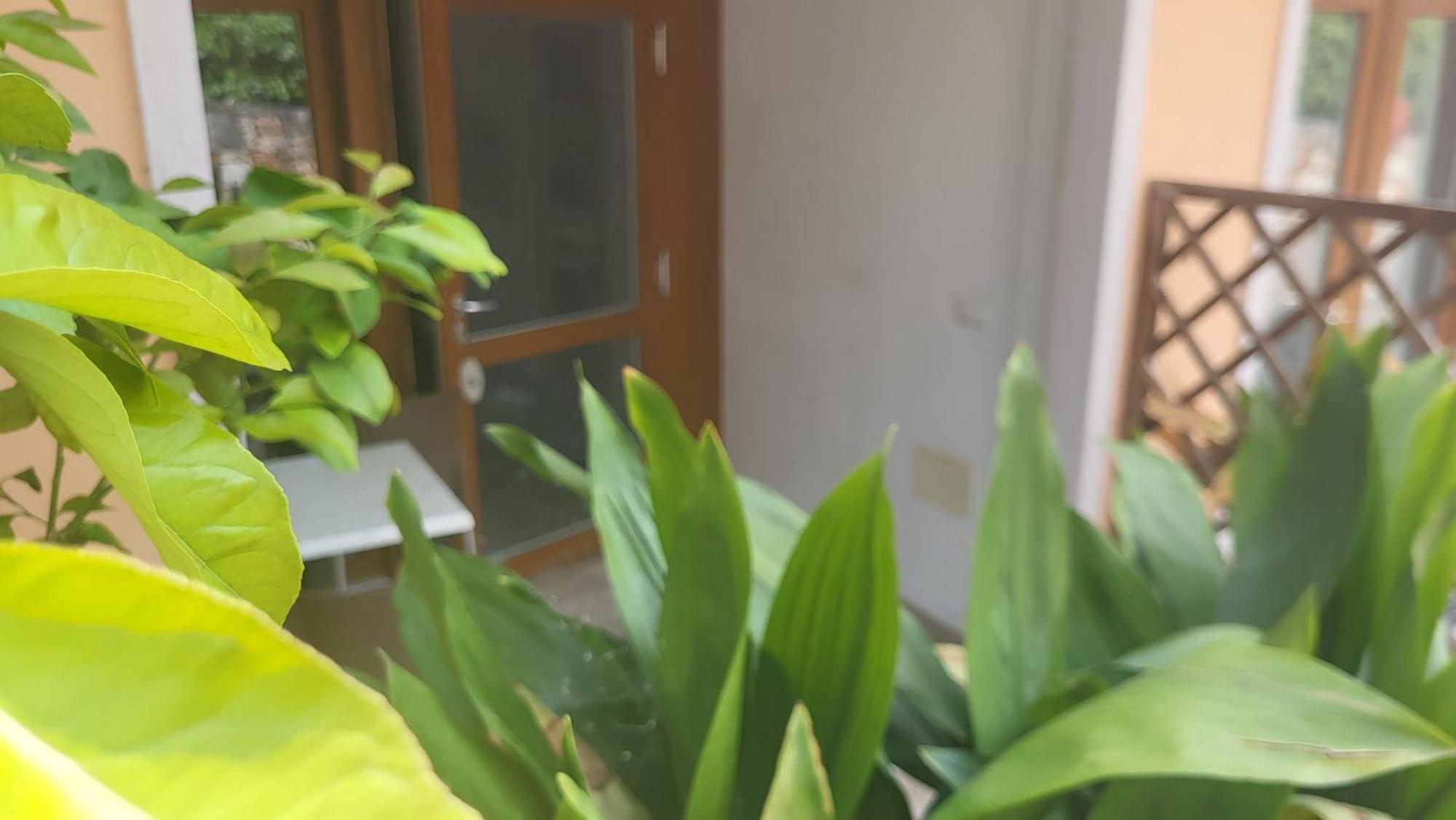 Residence Villa Margherita Brenzone sul Garda Bagian luar foto