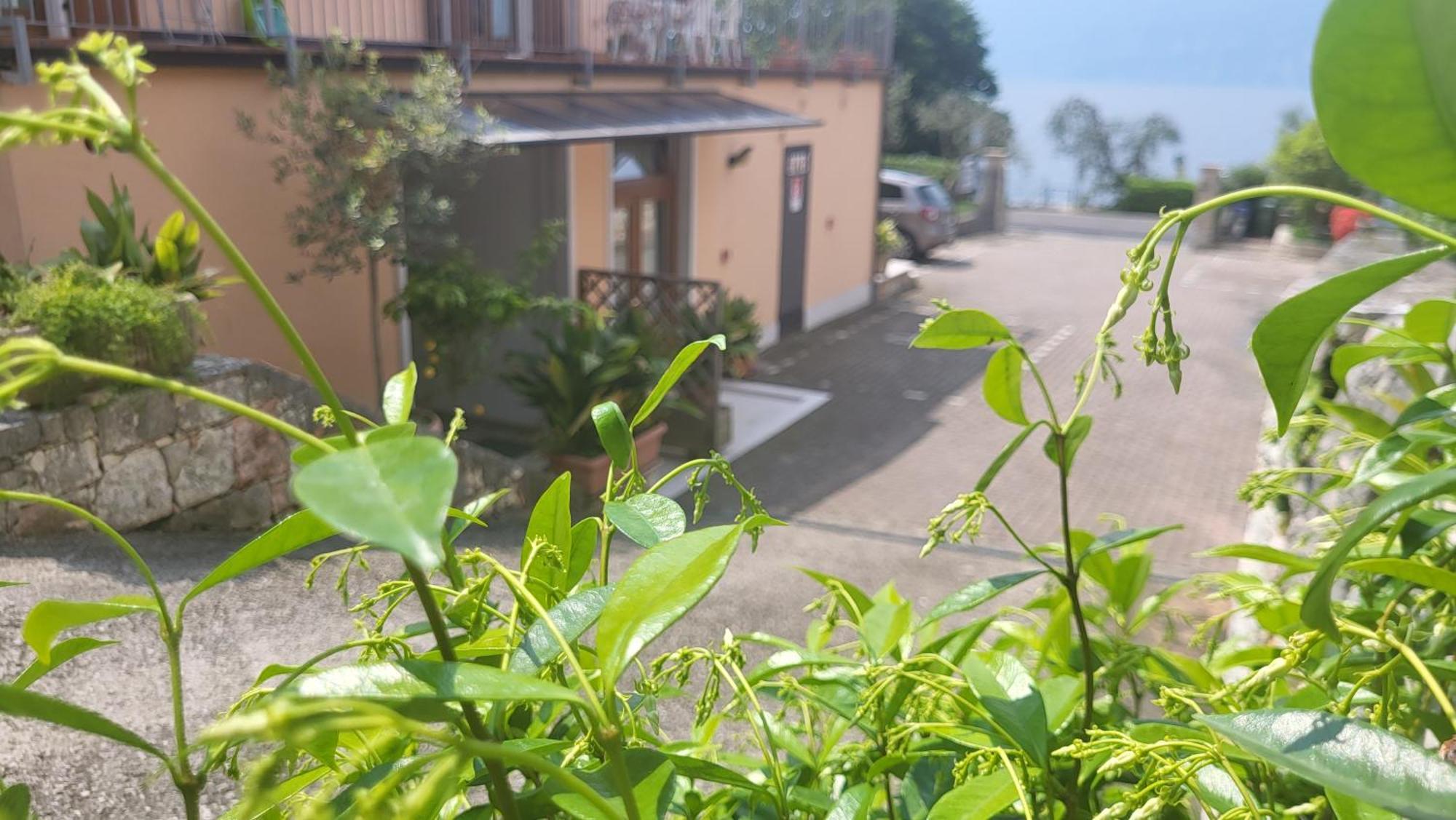 Residence Villa Margherita Brenzone sul Garda Bagian luar foto